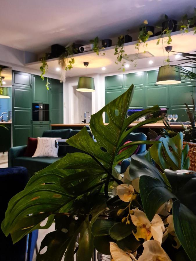 Serendipity Apartments - Montenapoleone Milano Dış mekan fotoğraf